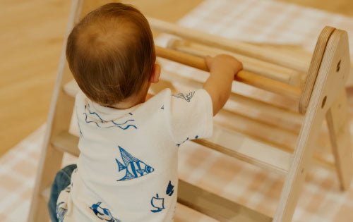 Testing Out Play Systems Climbing Frame & Ramp