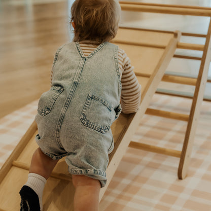 Premium Reversible Ramp/Slide